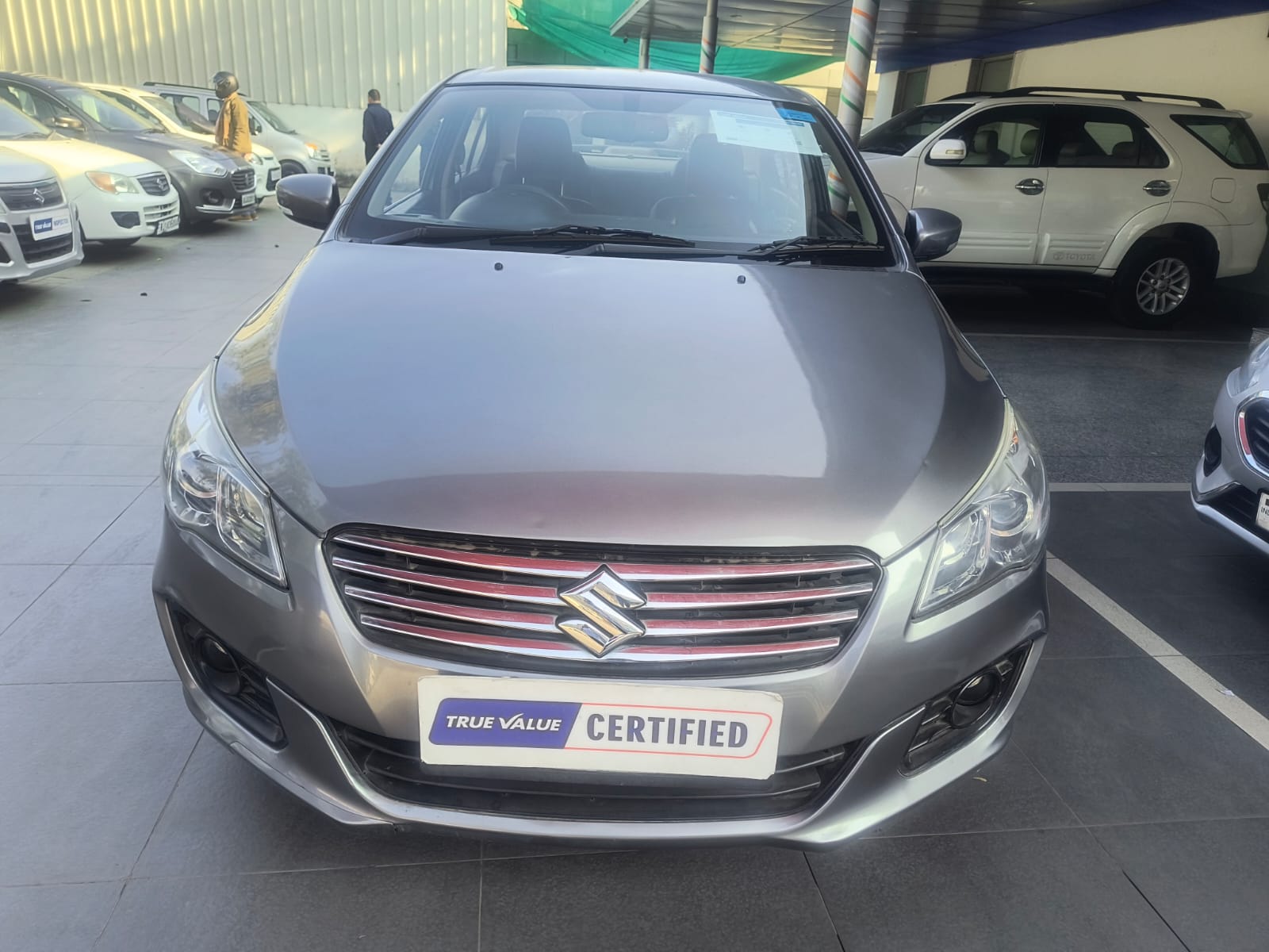 Maruti Suzuki - Ciaz Alpha -Grey